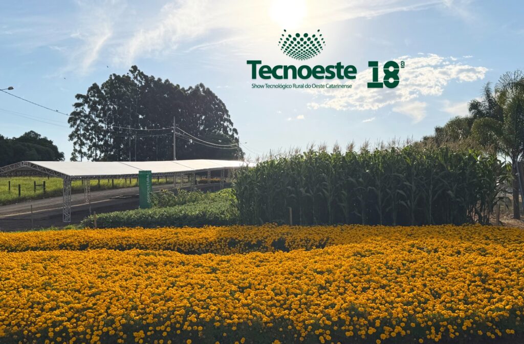 Foto colorida, em ambiente externo, registrada durante o dia. Em primeiro plano, há um extenso canteiro de flores amarelas, formando uma faixa contínua e vibrante que ocupa toda a parte inferior da imagem. Logo atrás das flores, vê-se uma plantação de milho verde, com as plantas alinhadas e bem desenvolvidas. À esquerda, aparece uma estrutura de passarela coberta coberta ao longo de uma estrada interna do campus. Ao fundo, há árvores de grande porte e vegetação variada, compondo a paisagem rural. O céu está parcialmente azul, com nuvens claras espalhadas. Na parte superior direita da imagem, está inserida a marca do evento com o texto “Tecnoeste 18ª”, acompanhado da frase “Show Tecnológico Rural do Oeste Catarinense”, em tons de verde, sobre o céu.